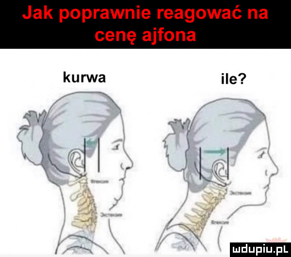 kurwa ile car. f ł l w. x v x x   j x