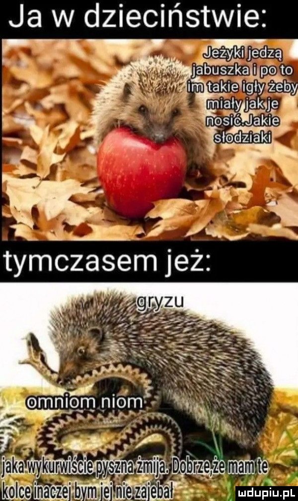 ja w dzieciństwie r jezyki ć dba. labuszkżuvoto i l é lm tak e  gay ieﬁy miałyj je e nosić ys