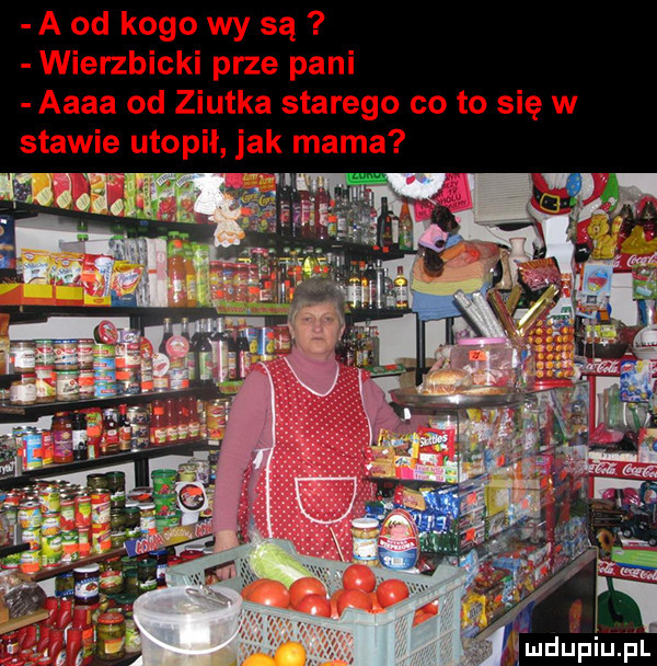 imdupiu. pl