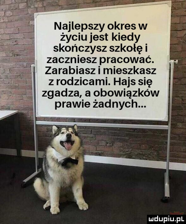 najlepszy okres w życiu jest kiedy skończysz szkołę i zaczniesz pracować. zarabiasz i mieszkasz z rodzicami. hajs się zgadza a obowiązków prawie żadnych