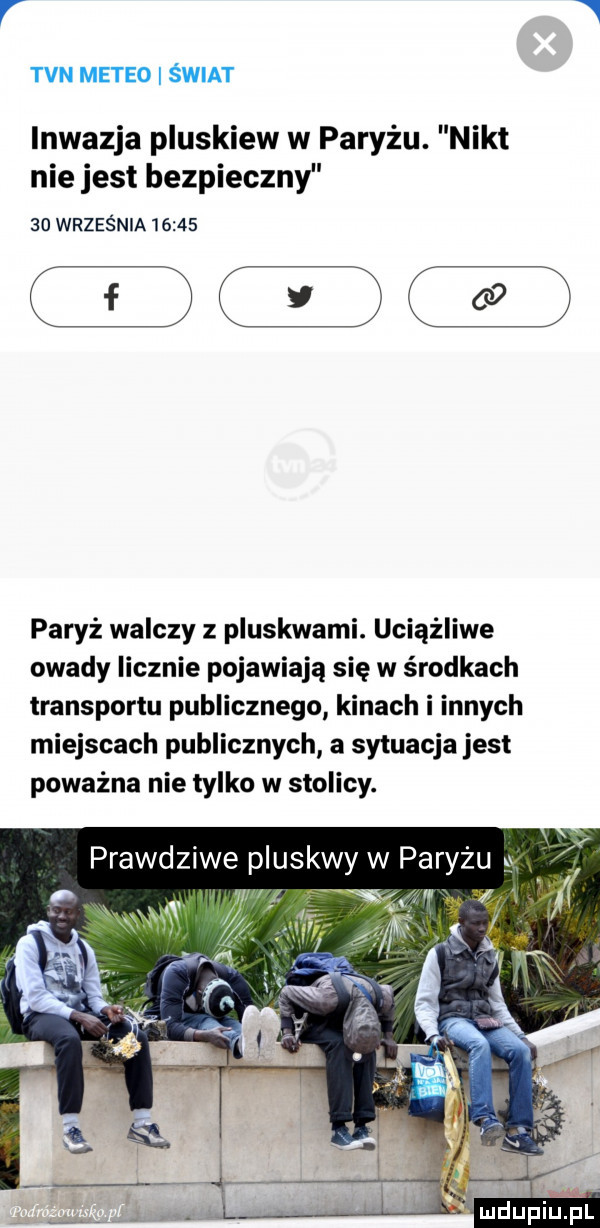 tvn meteo świat inwazja pluskiew w paryżu. nikt nie jest bezpieczny    września       paryż walczy z pluskwami. uciążliwe owady licznie pojawiają się w środkach transportu publicznego kinach i innych miejscach publicznych a sytuacja jest poważna nie tylko w stolicy. prawdziwe pluskwy w paryżu g f