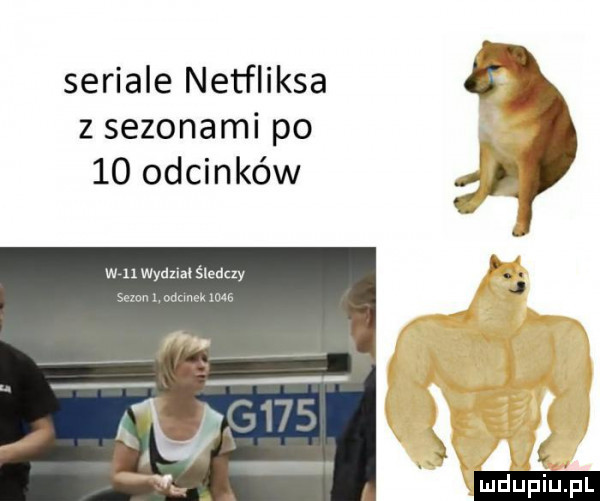 seriale netfliksa z sezonami po f    odcmkow z win wydzlaośledtzy owsa nm