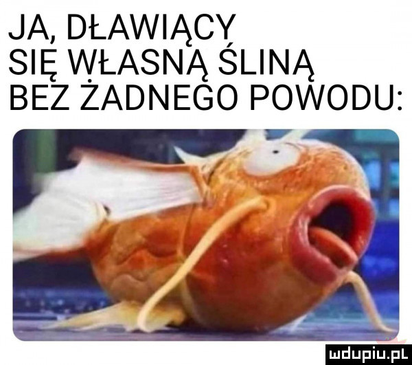 ja dławiący się własną skiną bez żadnego powodu ludu iu. l