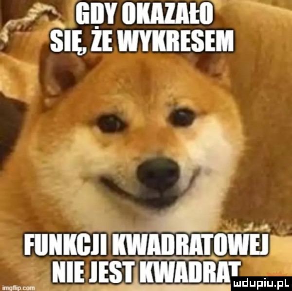 le mami fsię że was fiiiikgii kwiiiiiitiiwei icie ihs kwadrat m. mdupiupl