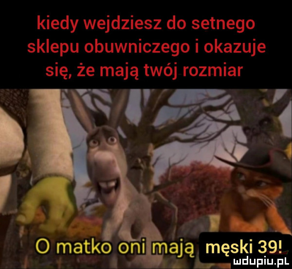 ni mają męski   ludupiu. pl