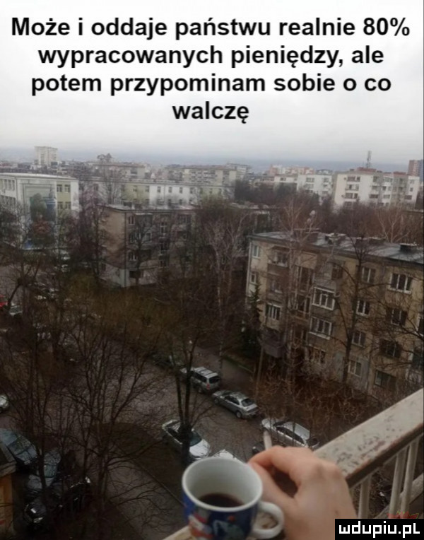 może i oddaje państwu realnie    wypracowanych pieniędzy ale potem przypominam sobie o co walczę