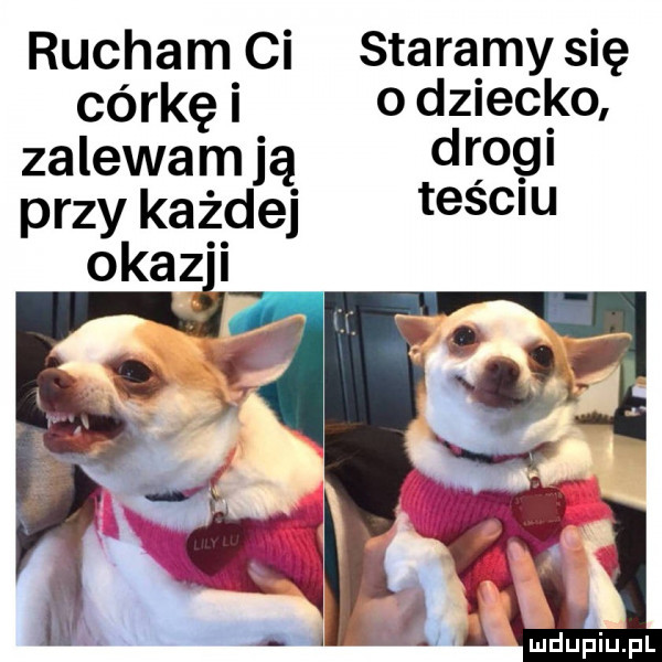 rucham ci staramy się córkę i o dziec o zalewam ją dtogl przy każdej tesc u okaz i