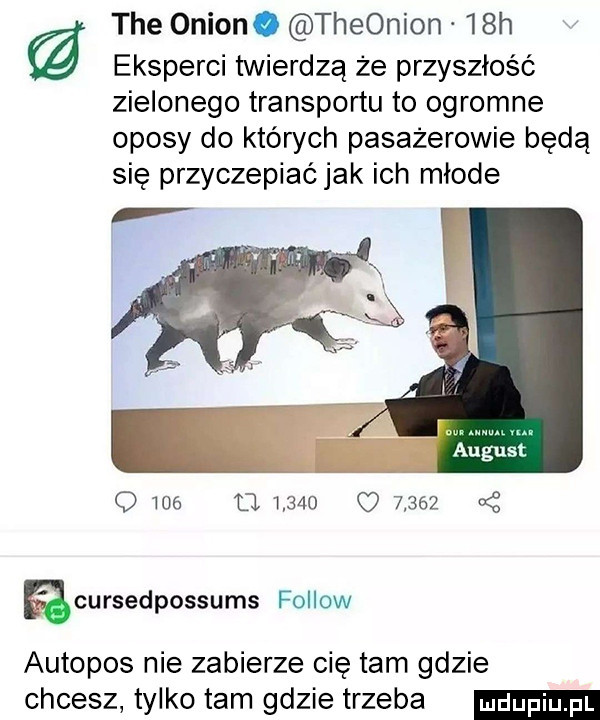 tee orion. theonion   h eksperci twierdzą że przyszłość zielonego transportu to ogromne oposy do któwch pasażerowie będą się przyczepiaćjak ich młode o we ti               a z ęcursedpossums fellow autopos nie zabierze cię tam gdzie chcesz tylko tam gdzie trzeba