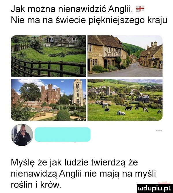 jak można nienawidzić anglii. nie ma na świecie piękniejszego kraju myślę że jak ludzie twierdzą że nienawidzą anglii nie mają na myśli roślin i krów