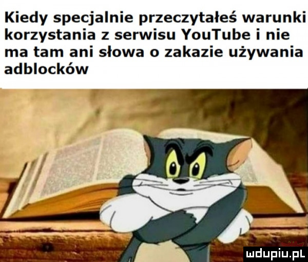 kiedy specjalnie przeczytałeś warunki korzystania z serwisu youtube i nie ma tam ani słowa o zakazie używania adblocków iudupiu pl