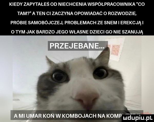 kiedy zapytałeś od niechcenia współpracownika co tam a ten ci zaczyna opowiadaó   rozwodzie. próbie samobójczej frublemach ze snem i erekcją i obym jak bardzo jego własne dzieci go nie szanują iw ar kon w kowbojach na kompletem fl