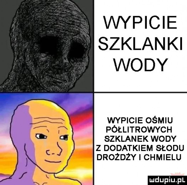 vwpicie szklanki wody wypicie ośmiu półlitrowych szklanek wody z dodatkiem słodu drozdzy i chmielu ludu iu. l