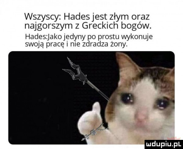 wszyscy hadesjest złym oraz najgorszym z greckich bogów. hadesjakojedyny po prestu wykonuje swoją pracę w nie zdradza żony ludu iu. l