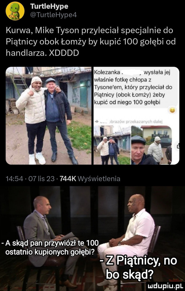 turtiehype ięuthlehypea kurwa mike tyson przyleciał specjalnie do piątnicy obok łomży by kupić     gołębi od handlarza. xdddd akme tonę chłopa tysone em ktory p nami do piątnicy obok lon edy kupic od niego     gołębi ostatnio kupionych gołębi z piątnicy no l     s  a d