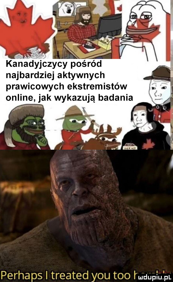 kafiadyjczycy pośród najbardziej aktywnych prawicowych ekstremistów online jak wykazują badania