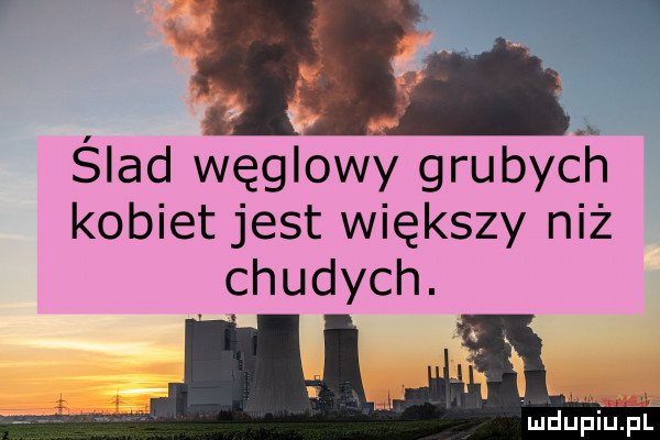 n ślad węglowy grubych kobiet jest większy niż chudych. mdupillpl