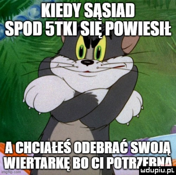 kieiiy sasiaki pinii   i i i się i llwiesii a gildiaeeś bbebbaó śwoia mew bai bl pii i iiifiiiiia