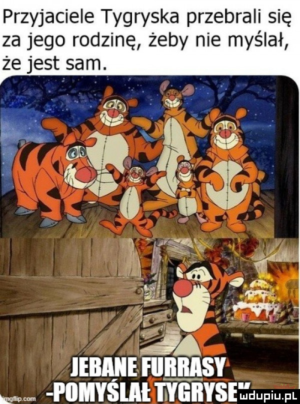 przyjaciele tygryska przebrali się za jego rodzinę żeby nie myślał że jest sam. iebmie eiiiiiiasy i iimyślii tygrys ludwin fl