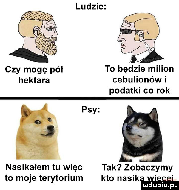 czy mogę pół to będzie milion hektara cebulionów i podatki co rok psy nasikałem tu więc tak zobaczymy to mo e te torium k k. abakankami ry to ma