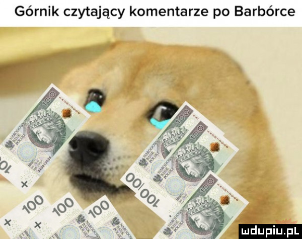 górnik czytający komentarze po barbórce ludu iu. l