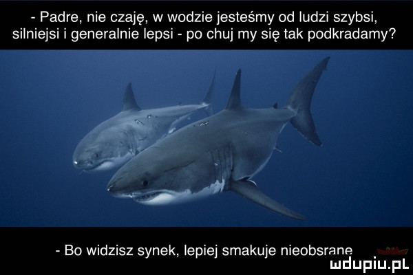 padre nie czaje w wodzie jesteśmy od ludzi szybsi silniejsi i generalnie lepsi po chuj my się tak podkradamy bo widzisz synek lepie smakuje nieobsrane mduplu pl