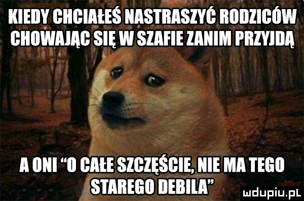 kieiiy iiiigiałeś iiastihisiys nonzmﬁw. giiiiwaiag się w skifie zanim i iłlylila.     . a inni ii cm slﬂlesﬂie. nie ma i elill taiiegiiiieiiiia pr