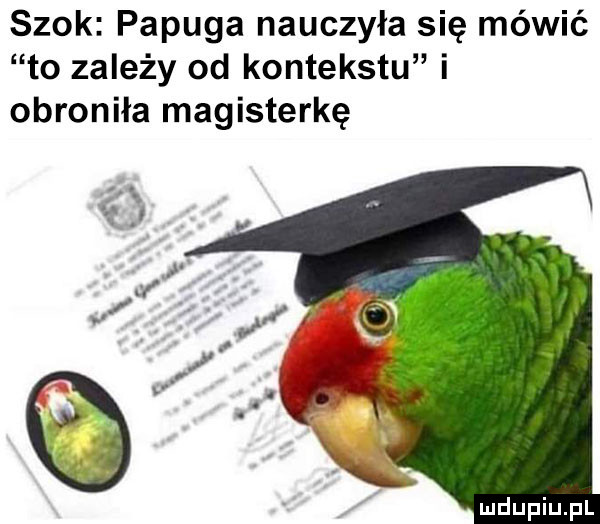 szok papuga nauczyła się mówić to zależy od kontekstu i obroniła magisterkę