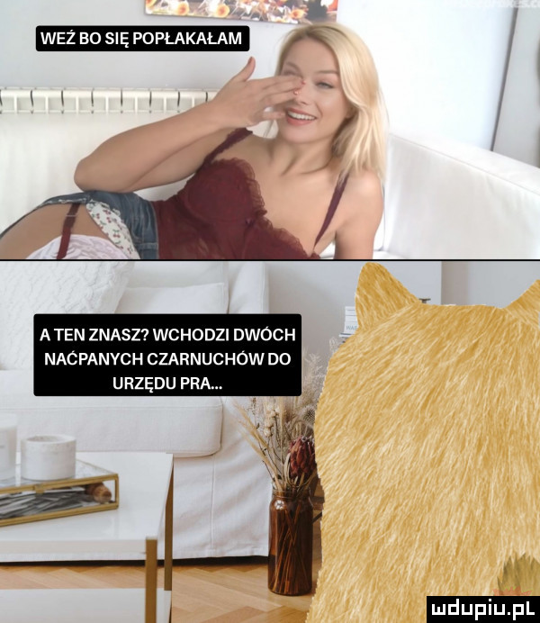i wez ao się popłakałam a a ten znasz wchodzi dwoch nacpanych czarnuchow do urzędu pra
