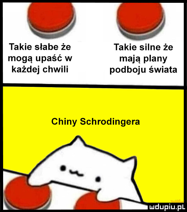 takie słabe że takie silne że mogą upaść w mają plany każdej chwili podboju świata chiny schrodingera