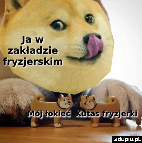 Obrazek