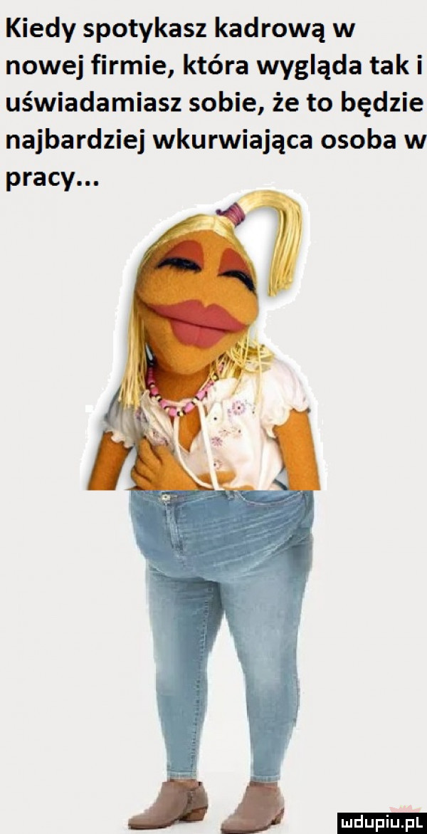 kiedy spotykasz kadrową w nowej firmie która wygląda taki uświadamiasz sobie że to będzie najbardziej wkurwiająca osoba w pracy.   ludu iu. l