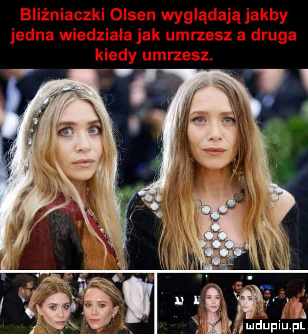 x mdupil. pl