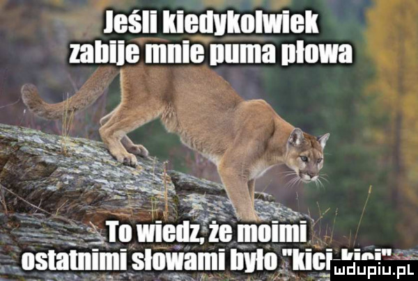 jeśli kiedykolwiek nhiie mnie nuba nlowa.      wiedz ii liiiiiiiii nsminimi sfer lai iiviii kiiiiﬁl i j i f