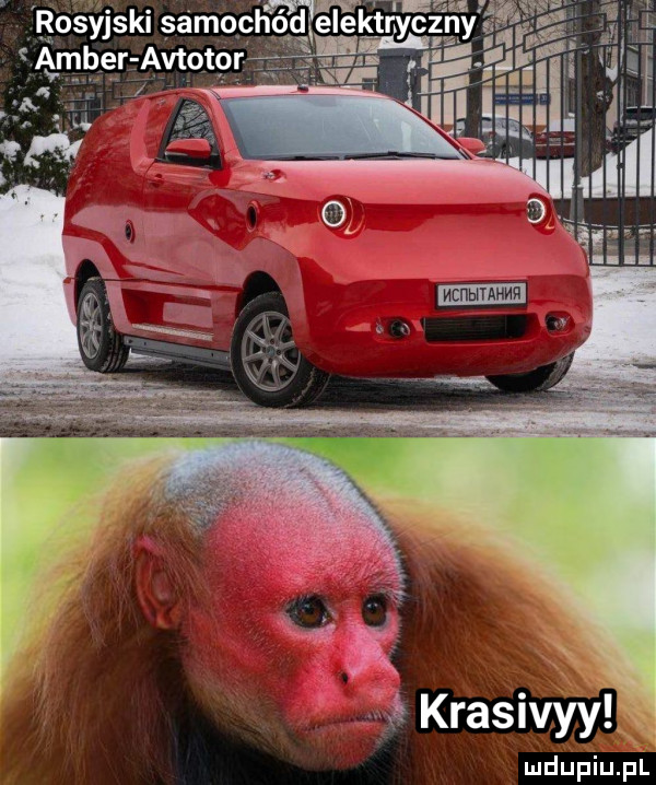 krakwy yk