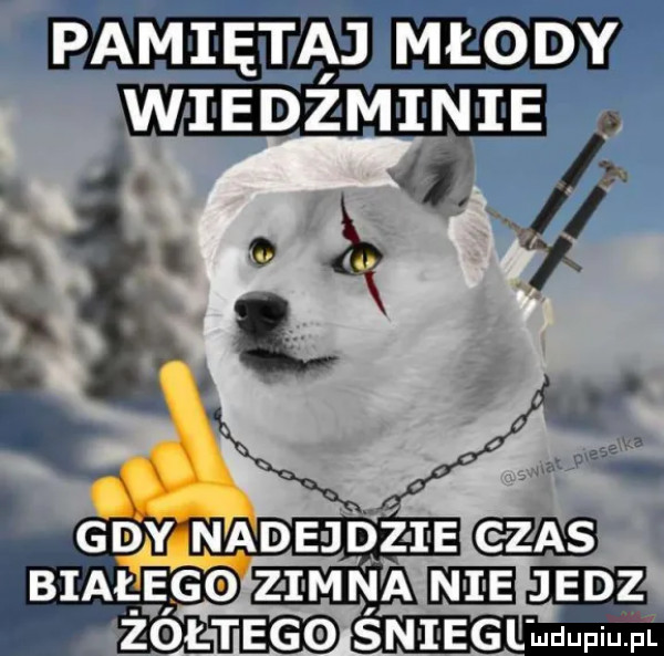 Obrazek
