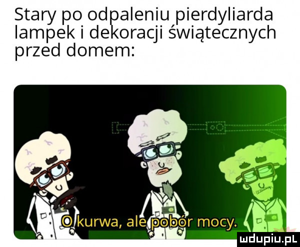 stary po od aluniu pierdyliarda lampek i de oracji świątecznych przed domem