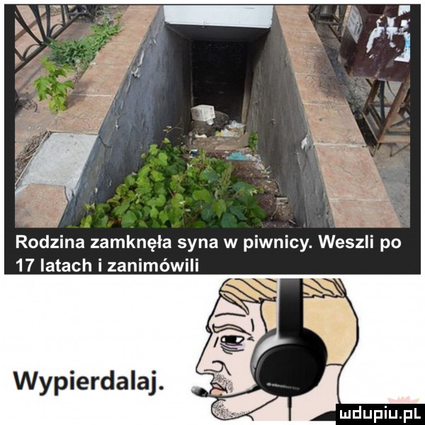rodzina zamknęła syna w piwnicy. weszli po    latach i zanimówili wypierdalaj