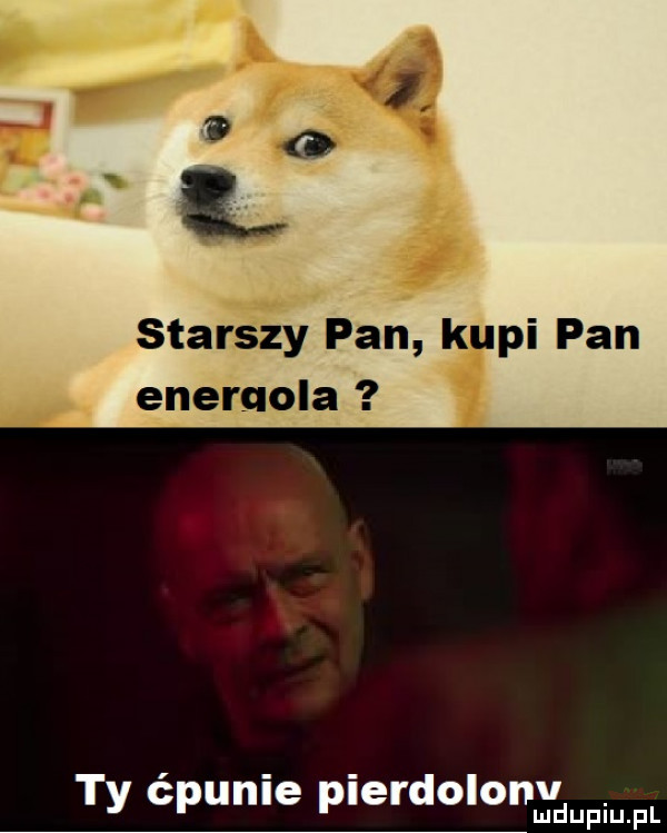 p ł starczy pan k pi pan enerqola ty ćpunie pierdolonhydupmfl