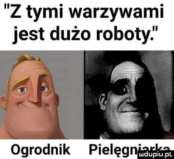 z tymi warzywami jest dużo roboty ogrodnik pielegnﬂﬁ