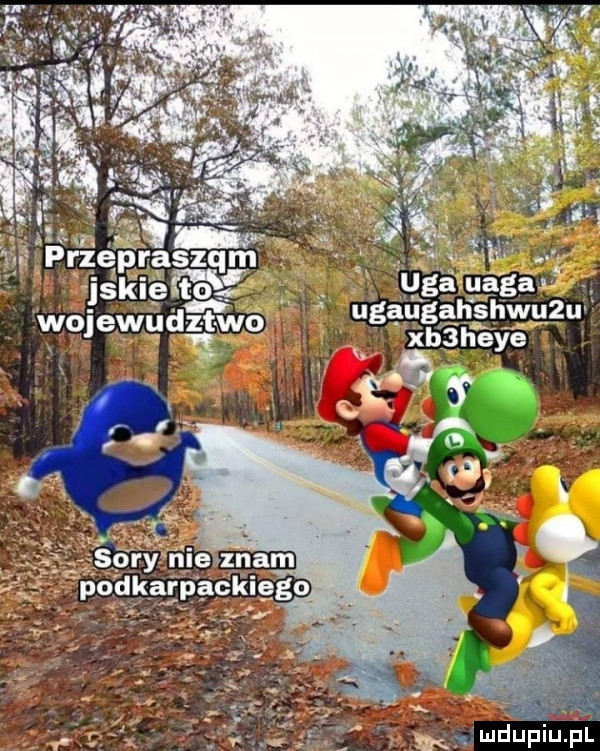 z   to. wojewgdigno