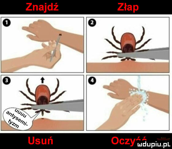 znajdź oczy iśijfiijfl