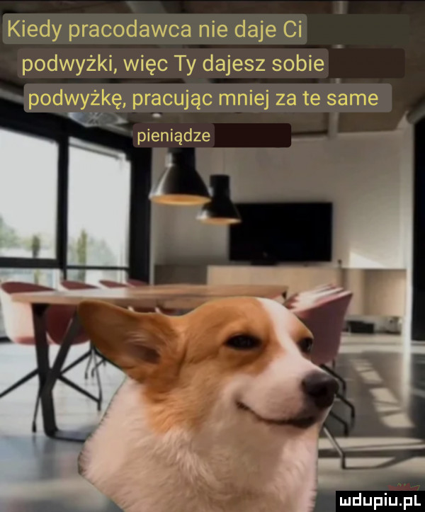 roe podwyżki więc ty dajesz sobie r