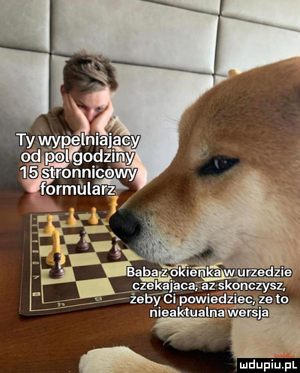 ludupiupl