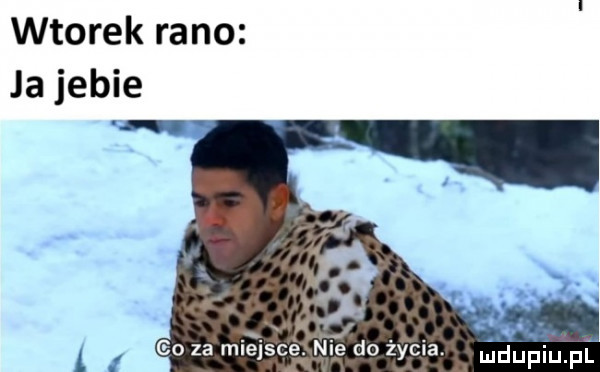 wtorek rano ja jebie l t l go za miejsce. nie do życia. gańpqul