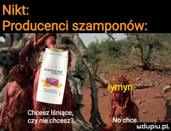 chcesz lśniące czy nie chcesz l. no chce. mduplu pl