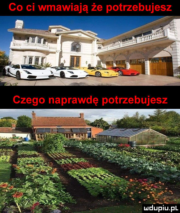 ą mdupiiupl