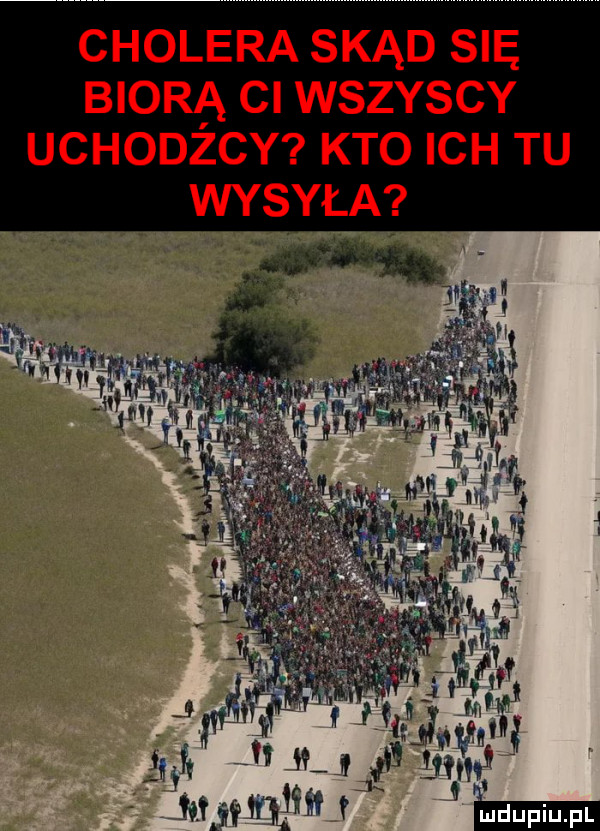 Obrazek