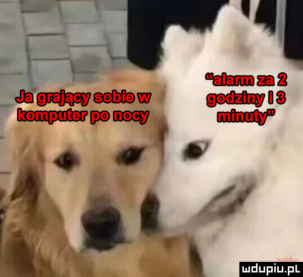 r r w. mama adam m piwna rpon w u