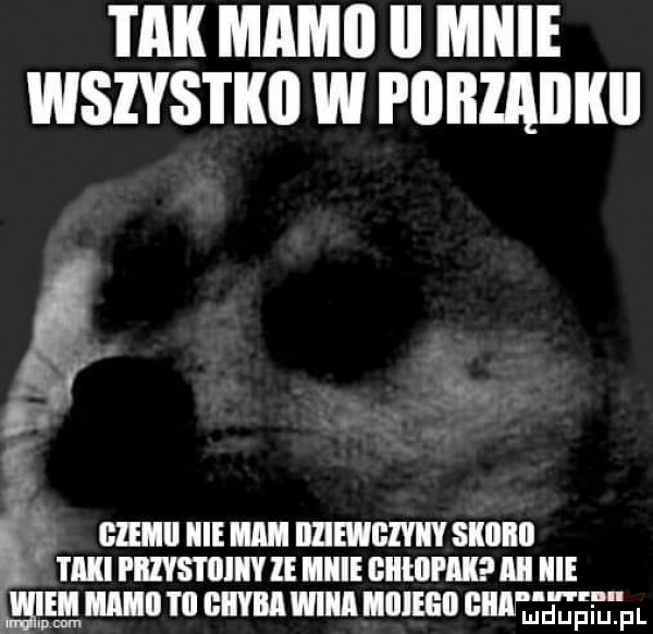 tak mami ll mnie wszystko w i iiiiiaiikii i.   emu m m numzm suonn mn i nzvsmnlm iiiiiie euturmnn gamma m cum wan mam summit fl