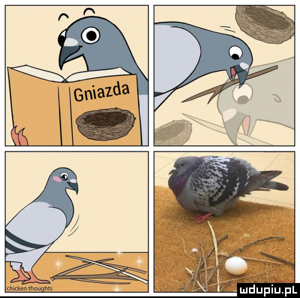 m kemhwghu   mduplu pl